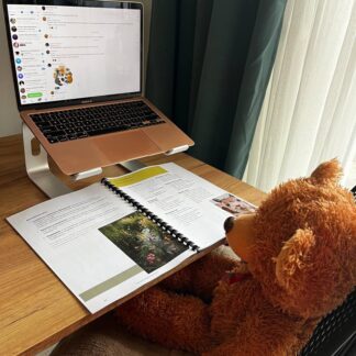 Воркбук 'В контакте с телом' + участие в групповом чате