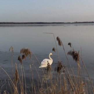 Вебинар-практикум "Разморозка" II