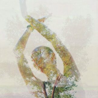 Группа "Ресурсы тела" - 6 встреч